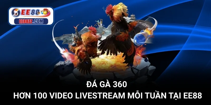 Đá Gà 360 - Hơn 100 Video Livestream Mỗi Tuần Tại EE88