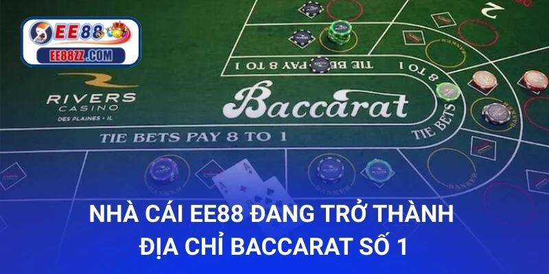Nhà cái ee88 đang trở thành địa chỉ Baccarat số 1